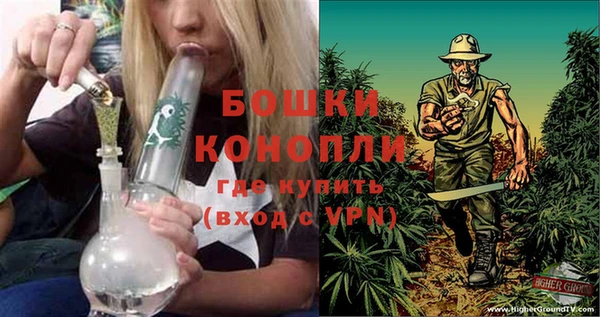 ПСИЛОЦИБИНОВЫЕ ГРИБЫ Киренск