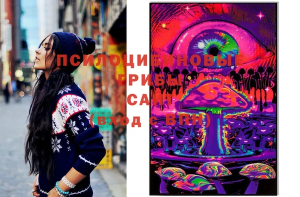 мяу мяу мука Кинешма